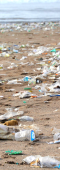 Addio plastica monouso dal 2021 in tutti i Paesi Ue